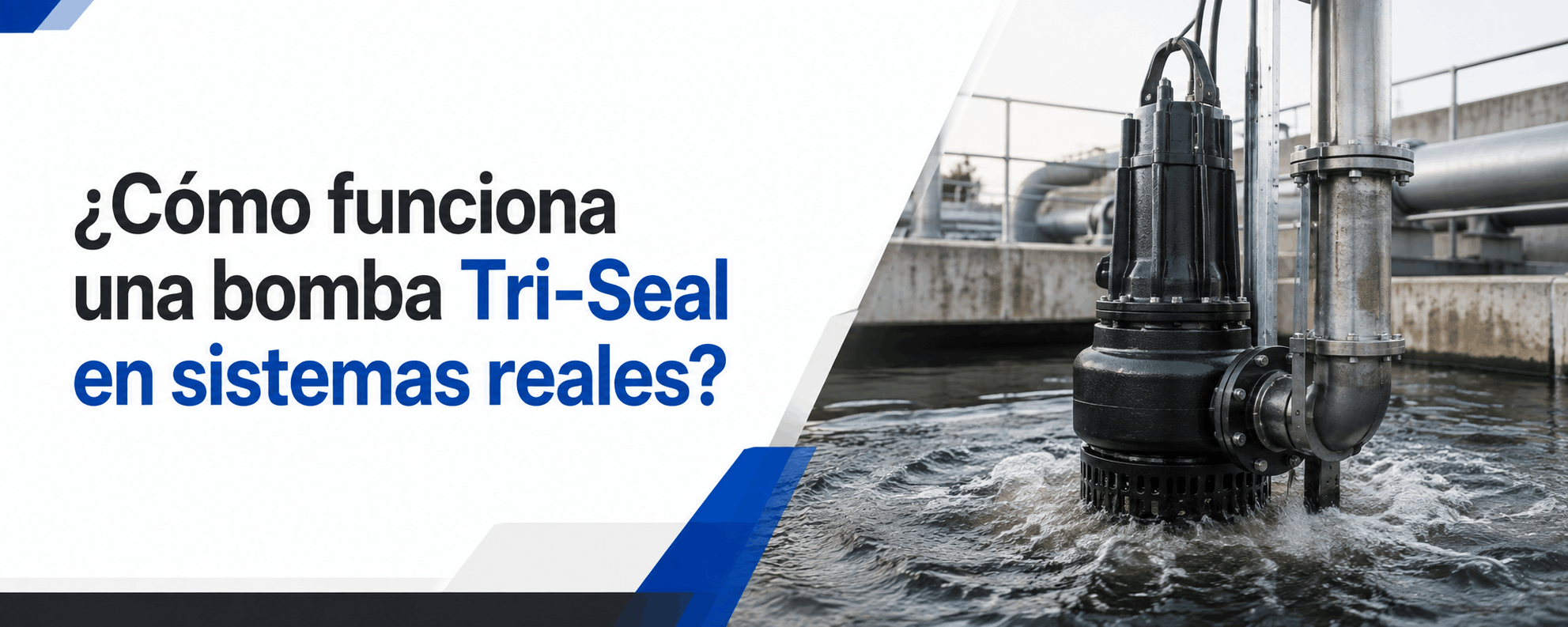 como-funciona-una-bomba-tri-seal-en-sistemas-reales
